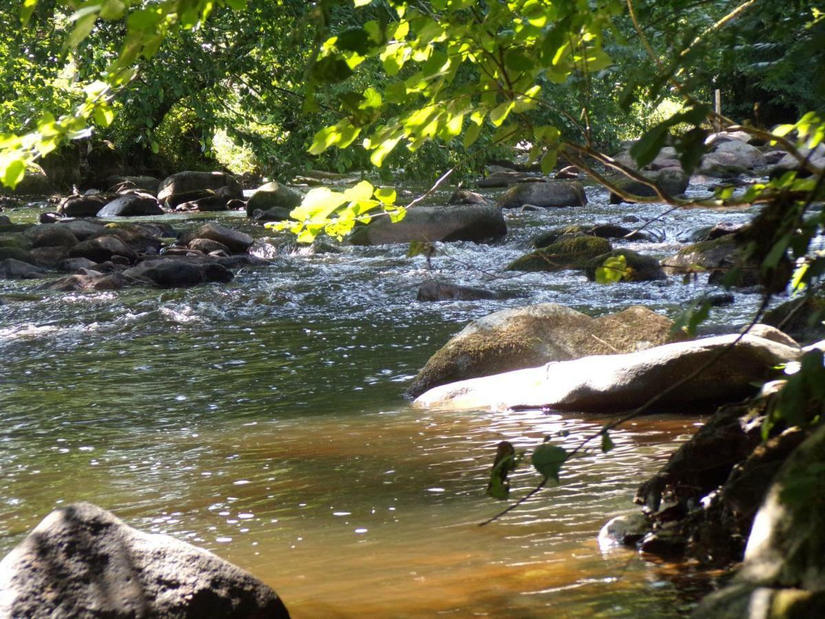 Gite "La Meluzine" Au Bord De La Riviere, Avallon, Vezelay, Morvan Маньи Экстерьер фото