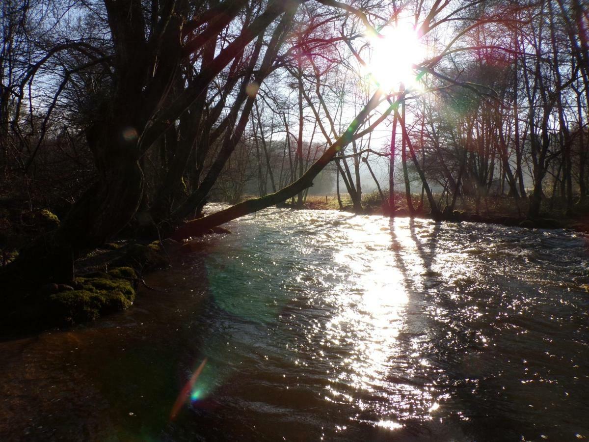 Gite "La Meluzine" Au Bord De La Riviere, Avallon, Vezelay, Morvan Маньи Экстерьер фото