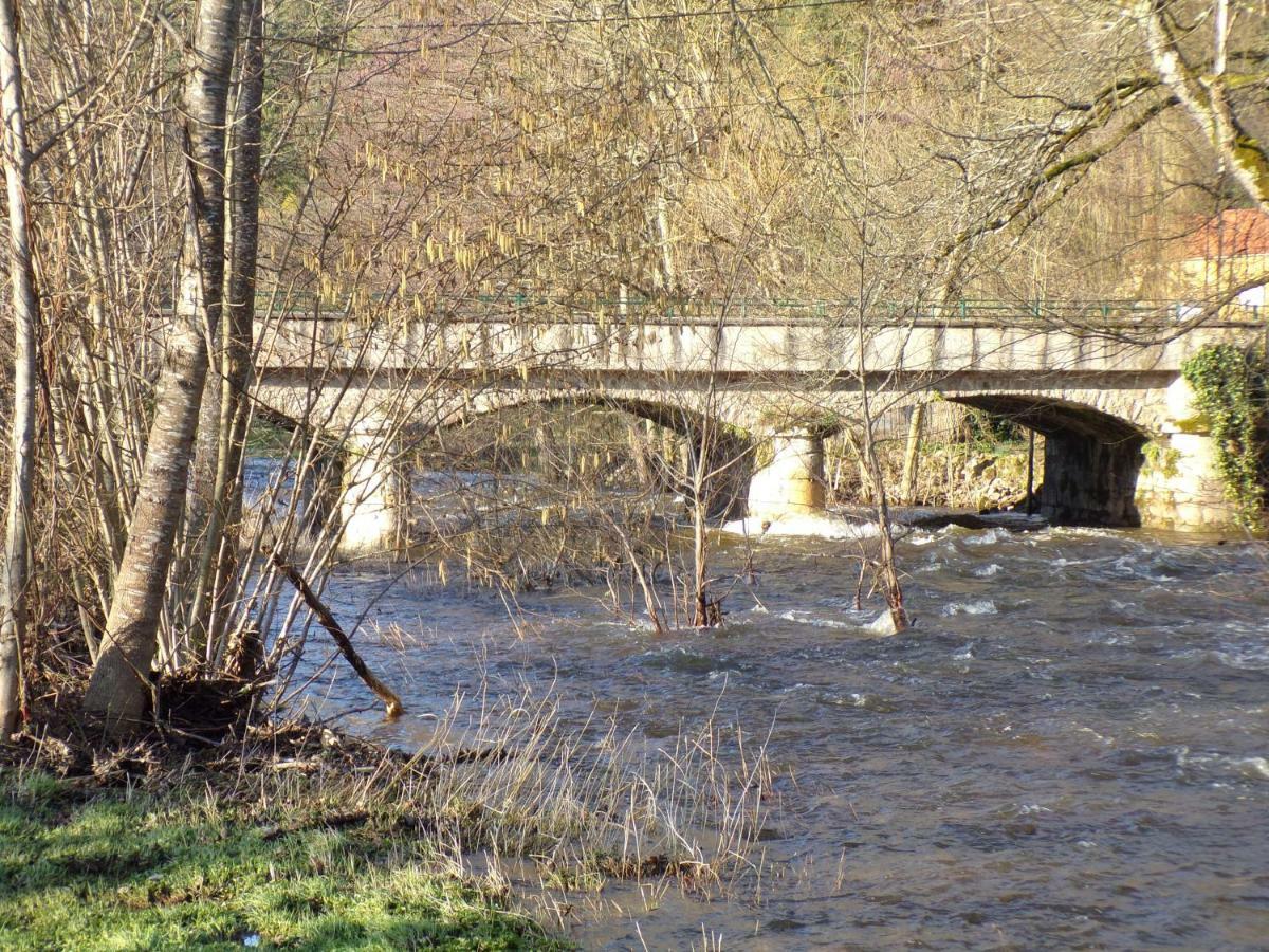 Gite "La Meluzine" Au Bord De La Riviere, Avallon, Vezelay, Morvan Маньи Экстерьер фото