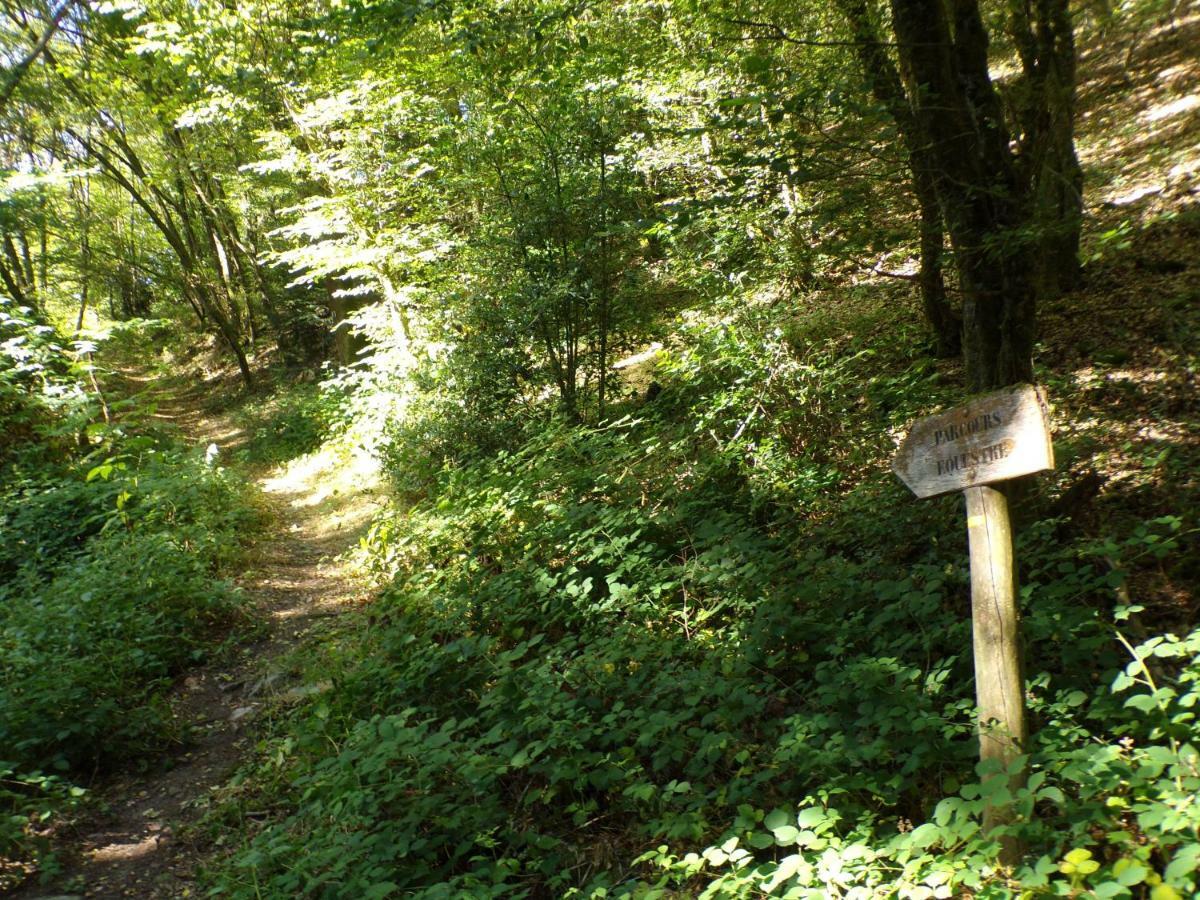 Gite "La Meluzine" Au Bord De La Riviere, Avallon, Vezelay, Morvan Маньи Экстерьер фото