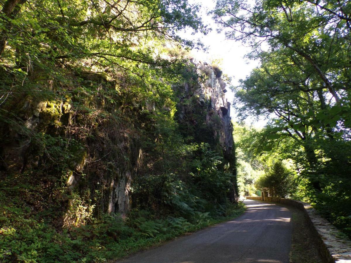 Gite "La Meluzine" Au Bord De La Riviere, Avallon, Vezelay, Morvan Маньи Экстерьер фото