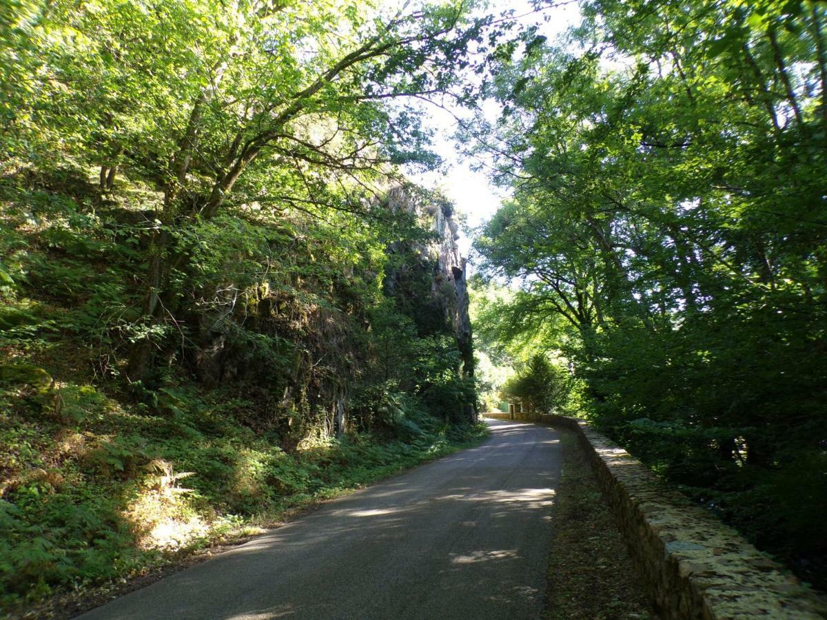 Gite "La Meluzine" Au Bord De La Riviere, Avallon, Vezelay, Morvan Маньи Экстерьер фото